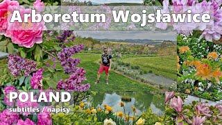  Arboretum Wojsławice | Poland | opening of the 2024 season | walk | #poland #polska #arboretum