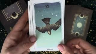 Anima Mundi Tarot Deck quick flip through