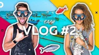 БалиVlog #2 | Пляж Джимбаран | Рыбный рынок