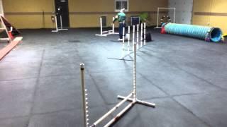 Agility Teams Training at DIM