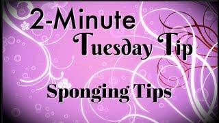 Sponging Tips | 2-Minute Tuesday Tip