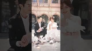 #你比星光美麗 浪漫的唯一答案，此刻就在身邊~