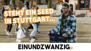 Straßen-Aktion: Erkennt jemand den Seed?