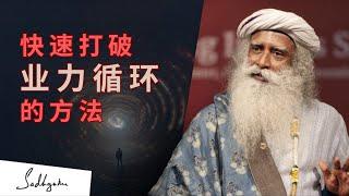 快速打破因果循环的方法 | Sadhguru 萨古鲁智慧