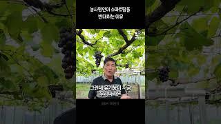 농사명인이 스마트팜을 반대하는 이유 (청년농부 조언)