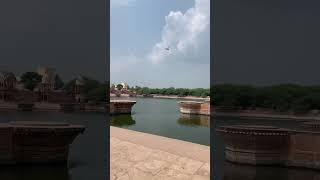 #vrindavan #krishna #love#radhakrishna #healing #travel #nature #motivation #shiv#spirituality #yog