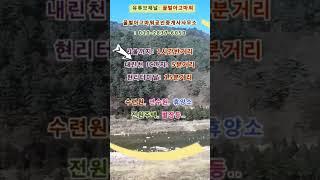 인제군 기린면 내린천강과접한 13,591평 매매(협의가능)