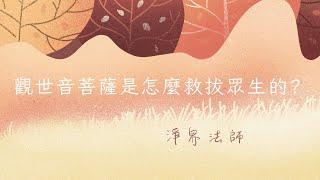 觀世音菩薩是怎麼救拔眾生的? #淨界法師 #觀世音菩薩普門品