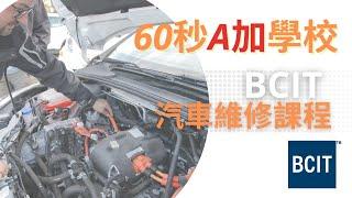 BCIT 汽車維修課程 | BC省最吃香行業｜課程強調實踐實習 ｜可行Stream A 課程【60秒A加學校】