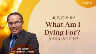 我為何而死? What Am I Dying For?