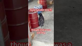Why would you do that? #dog #labrador #scary #gold #black #lab #work #mechanic #fake #real