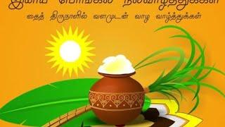 "Celebrate Pongal with Joy: Heartfelt Wishes from Somethingtalk1 "