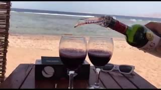 Wine Aerator Review - Best Wine Aerator Pourer Spout - How to Use