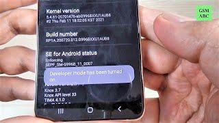 How to Turn On Developer Options on Samsung Galaxy S21 / S21+ / S21 Ultra