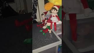 Elf Invasion Day #7 #elfonashelf #elfontheshelfchallenge #christmas