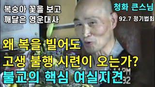 왜 복을 빌어도 고생과 시련 불행이 오는가 불교의 핵심 여실지견 | 영운대사의 깨달음 이야기 |청화스님 법문 19920705 태안사정기법회