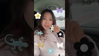  차 안 가득 퍼지는 프리미엄 향기! 코코도르 솔리드 차량용 방향제