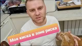 Самвел Адамян/ Шупичка/ ТВ/ Эдуард Адамян (обзор) "Где деньги, Зин?"