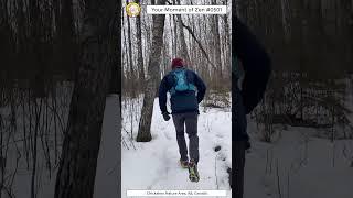 ScienceMan Moment of Zen 0501 #peaceful #winter #nature #trailrunning #forest #trees #asmr
