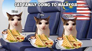 Cat Family Road Trip The Airport in Malaysia! Part 1