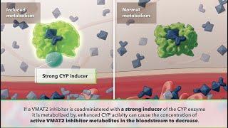 Visualizing The Role of Metabolic Pathways in Drug-Drug Interactions