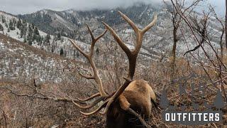 Giant 6X6 Bull Elk Utah 2024 collaboration with KIS and Lone Ridge Outfitters