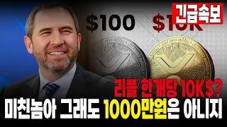 [리플 전망] 2025년에는 한개당 1000만원??? 리플CEO가 웃는 이유 #긴급속보 #리플 #XRP #SEC #리플소송 #코인의대가 #갈링하우스 #RLUSD #리플스테이블코인