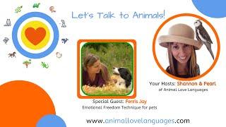 Let's Talk to Animals animal communicator Shannon Cutts talks with Ferris Jay about pet EFT tapping