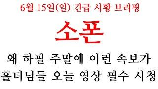 [소폰] 홀더님들 영상에서 "이 가격" 필수 확인 하세요!! 중요한 자리입니다 #소폰코인 #소폰대응 #소폰전략 #소폰