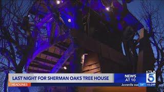 City forcing homeowner to tear down iconic treehouse