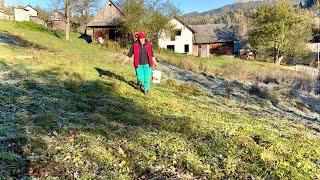 Women's affairs in the autumn mountain village: chanakhs and mozzarella cheese