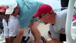 Sail Fish Florida - Cal Haupt - Reel Haupt