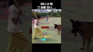그냥 놀아주려했는데..