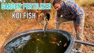 How To Make A Natural Garden Fertilizer | HAZEN AUDEL