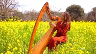 Garden of Peace I 1 Hour of Harp Music I Sarah Bhalla