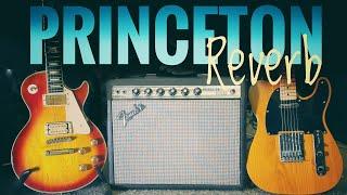 Fender Princeton Reverb’s  HARD ROCK Tone may Surprise You!