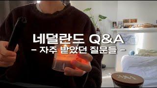 Q&A | 네덜란드 집 구하는 방법, 사이트들 특징 | 인종차별 질문 | 영어 관련 질문 | 입학 질문 | 실용중심 대학 후 취업 가능?