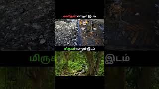 different places to live in world #shorts#Aruvaa guys