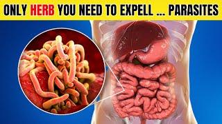 Only 2 Spoons... Expels All Worms and Parasites from Your Body