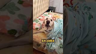 Bruno Was Not in the Mood! 