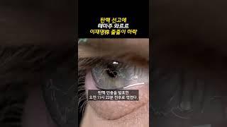 탄핵 선고에 테마주 와르르… 이재명株 줄줄이 하락 (20250404)