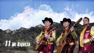 Mi Riqueza - Los Plebes del Rancho de Ariel Camacho - DEL Records 2016