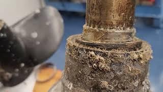 Why should you have a professional marine tech inspect a used boat prior to purchase