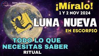 LUNA NUEVA EN ESCORPIO 2024  1, 2 NOVIEMBRE  LA TRANSFORMACIÓN YA EMPEZO 🪬 SERES DE LUZ