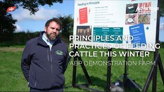 Principles and practices of feeding cattle this winter | ABP Demonstration Farm