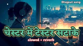 #lofi"Chestar Me Testar Satake ||slowed ~ reverb || चेस्टर में टेस्टर स्टाके ||#khesari Lal yadav