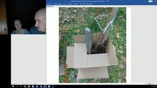Железов В  Об обрезке и укрытии саженцев