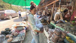 เสน่ห์เมืองลาวตลาดริมข้างทางของคนลาวสูงมีแต่ของดี