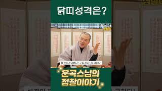 스님~ 닭띠들의 기본 성향은 어떠한가요? #shorts