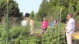 University of Minnesota Extension Master Gardener Biochar Research Summary